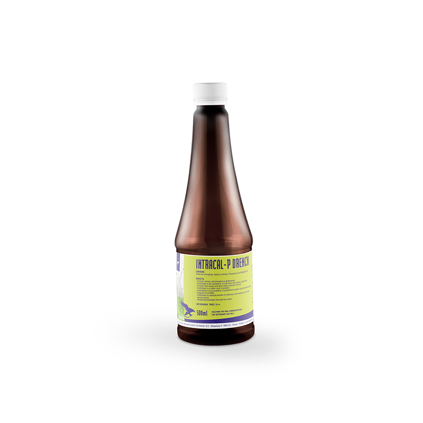 INTRACAL-P DRENCH 500ML- COMPLEMENTARY FEED FOR CATTLE // MANGIME COMPLEMENTARE PER BOVINI con carenza di calcio e fosforo