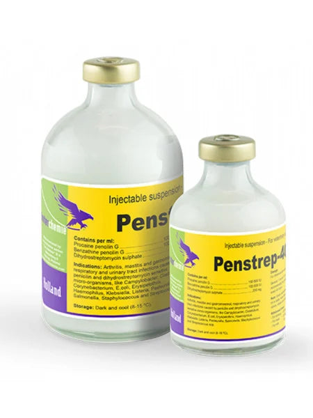 PENSTREP 400 100 ML // SIMILE REPEN // Procaine Benzylpenicillin, Dihydrostreptomycin sulfate // Cattle, Sheep, Pigs, Dogs, Cats / bovini, pecore, suini, cani, gatti