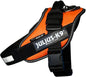 Imbracatura IDC Power