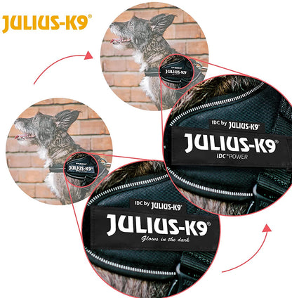 JULIUS K9 - IDC PowerHarness - CRAZY
