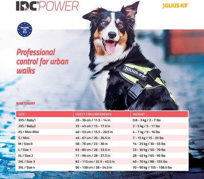 JULIUS K9 - IDC PowerHarness - CRAZY