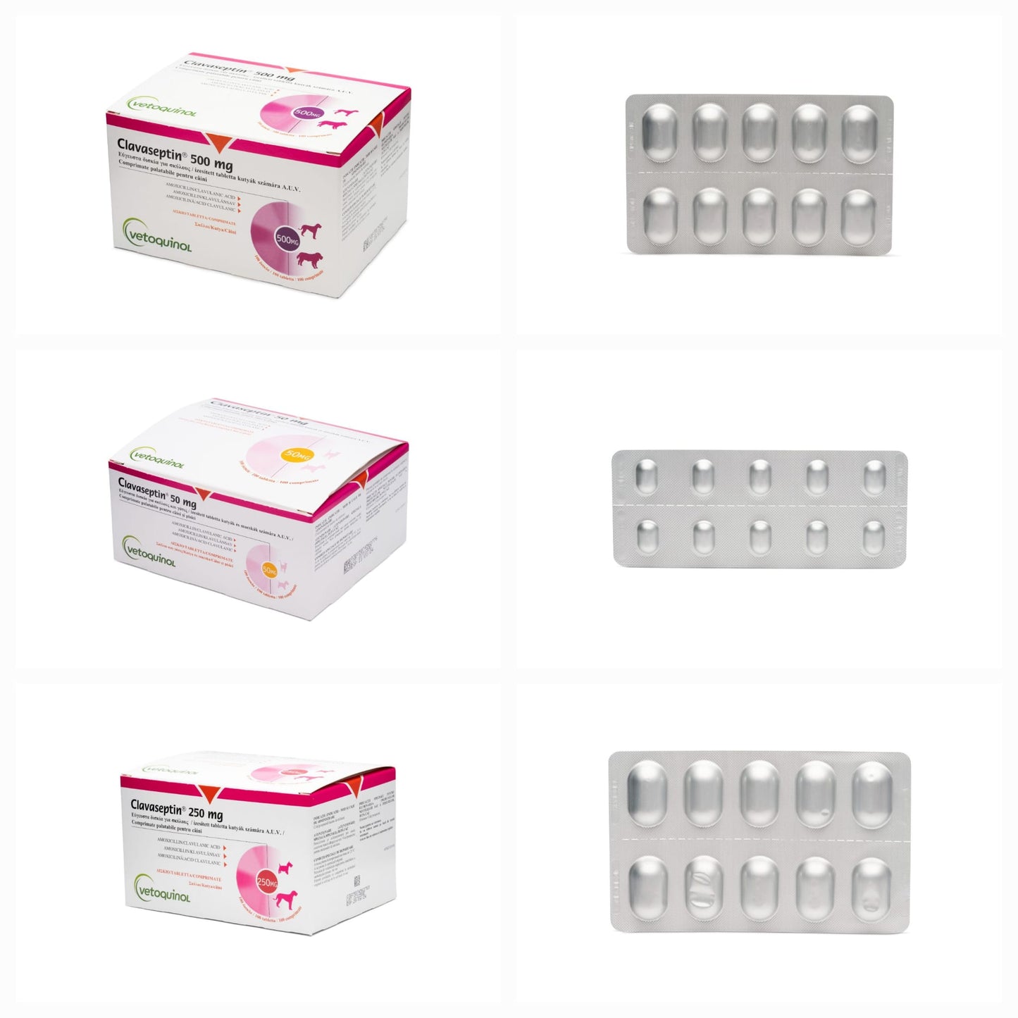 Clavaseptin // Clavucill 10 tablets  for Dogs and cats  // Amoxicillin+Clavulanic acid / cani e gatti