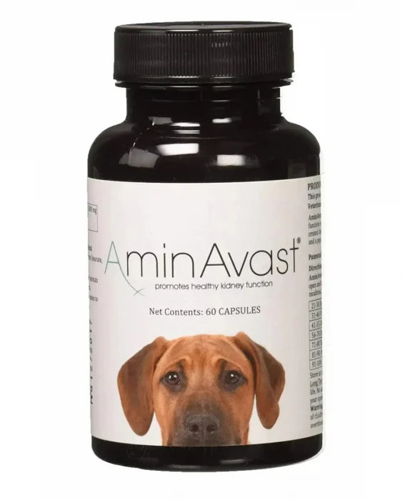 AminAvast Chien 1000 mg – 60 gélules