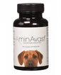 AminAvast Chien 1000 mg – 60 gélules