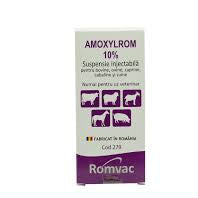 AMOXYLROM 10% 100ML // Amoxicillin // Cattle, sheep, goats, horses and pigs/ Bovini, ovini, caprini, equini e suini