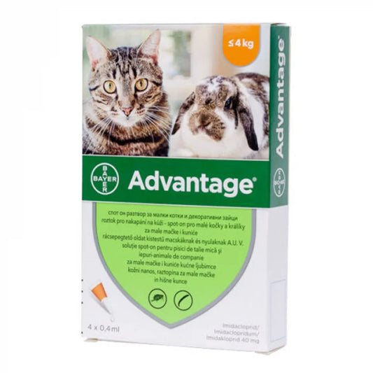 ADVANTAGE SPOT ON CATS / RABBITS // imidacloprid 40mg // gatti e conigli