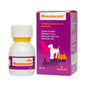 RHEUMOCAM 1.5MG/ML - 42 ML // Meloxicam // dogs