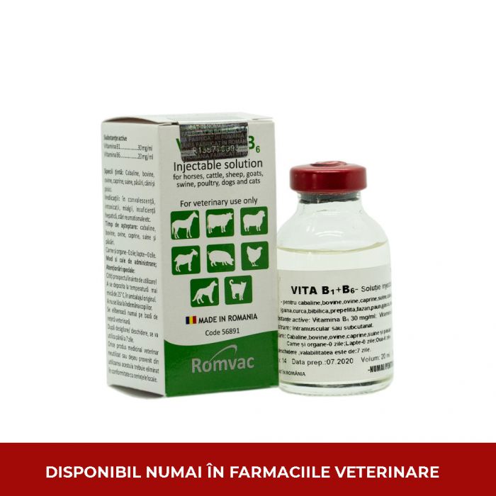 VITA B1+B6 20 ML // horses, cattle, sheep, goats, pigs, pets (dogs and cats), birds (chicken, turkey, guinea fowl, quail, pheasant, peacock, goose, duck, pigeon)