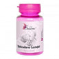 Mami Stimulation of Lactation, 60 Tablets - Pet Shop Luna