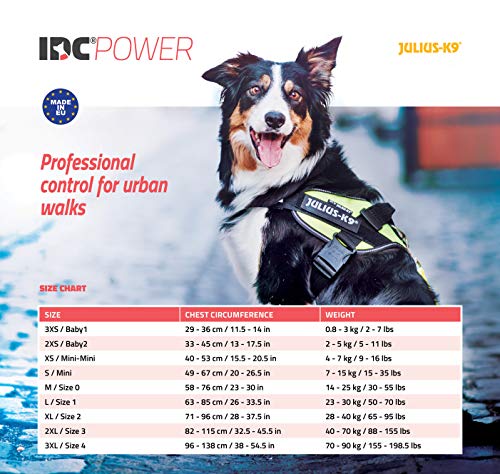IDC Powerharness, Size: XL/2, Pink with flowers - Pet Shop Luna