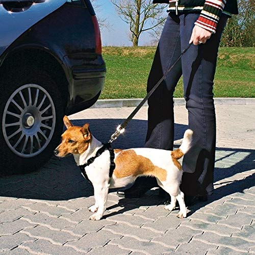 Trixie - Imbracatura con Cintura di Sicurezza - Pet Shop Luna