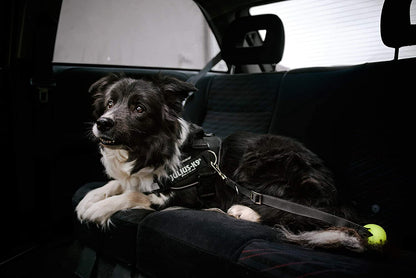 Julius-K9 harness - Pet Shop Luna