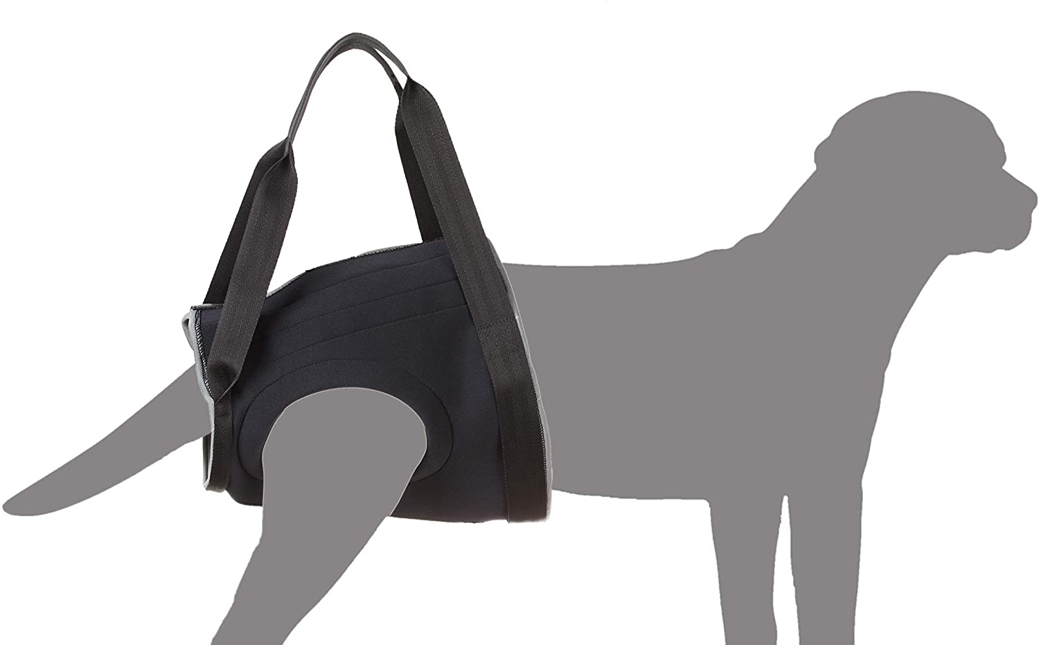 Julius-K9 Imbrago Riabilitativo - Anteriore - Pet Shop Luna