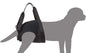 Julius-K9 Imbrago Riabilitativo - Anteriore - Pet Shop Luna