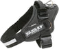 Julius-K9 harness - Pet Shop Luna