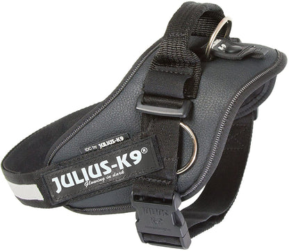 Julius-K9 harness - Pet Shop Luna