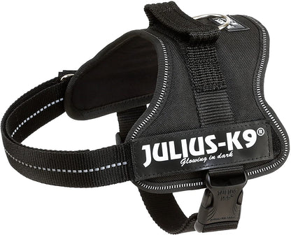 Julius-K9 Pettorina K9 - Pet Shop Luna